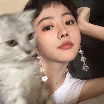 究极数码暴龙益玩版下载
